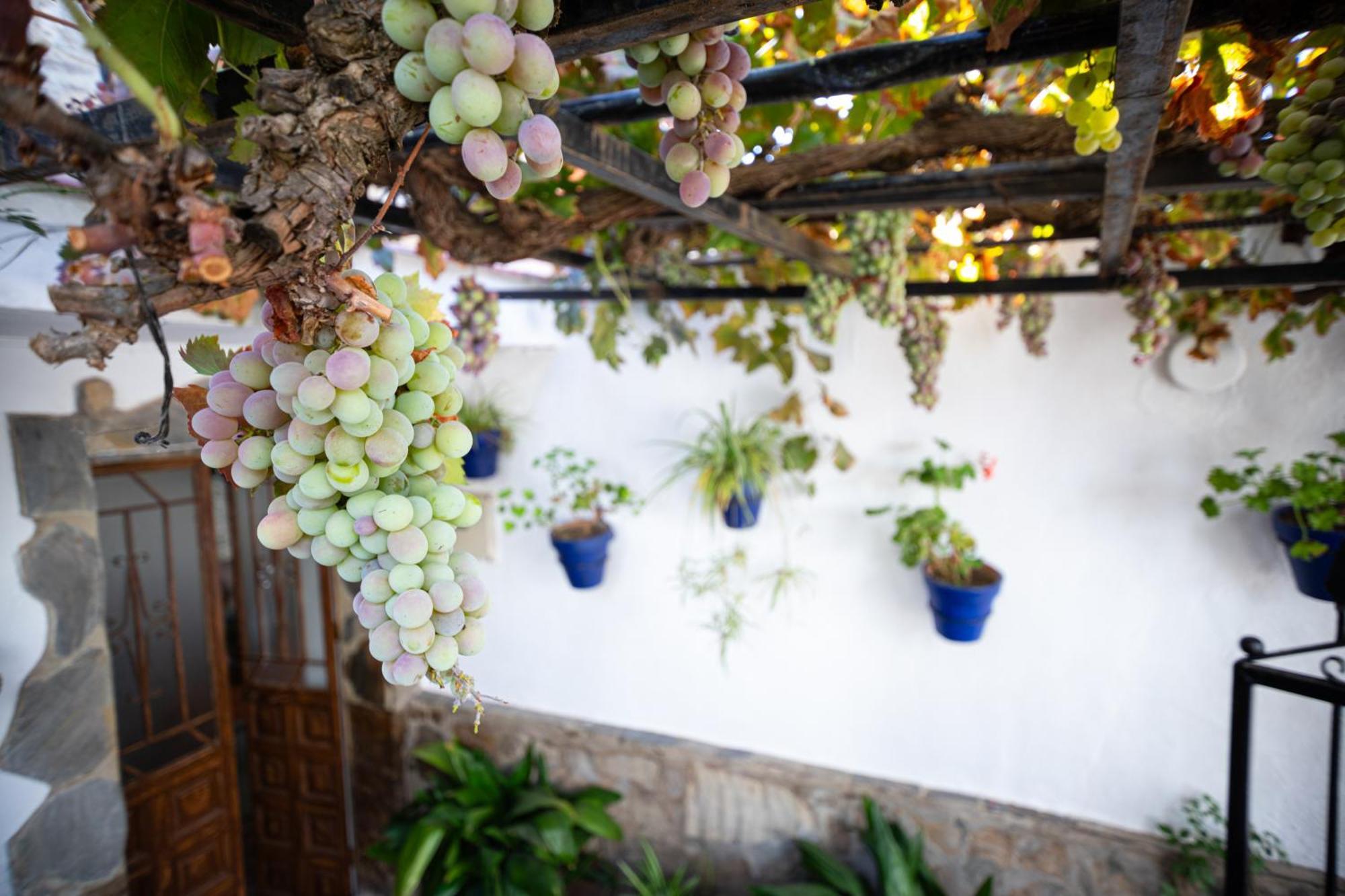 The Pava'S House Apartment Ronda Bagian luar foto