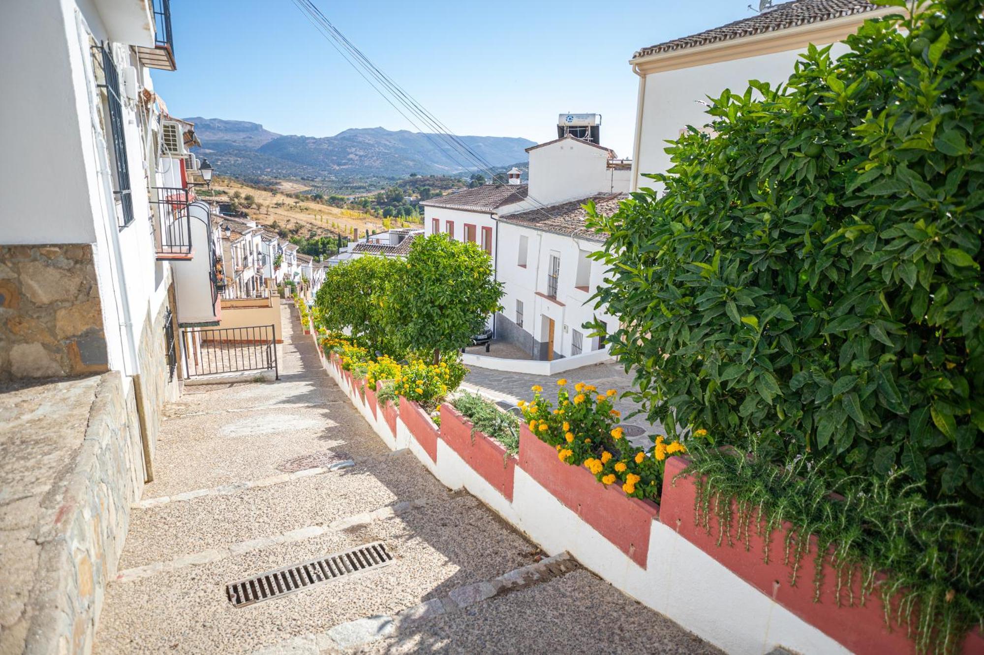 The Pava'S House Apartment Ronda Bagian luar foto